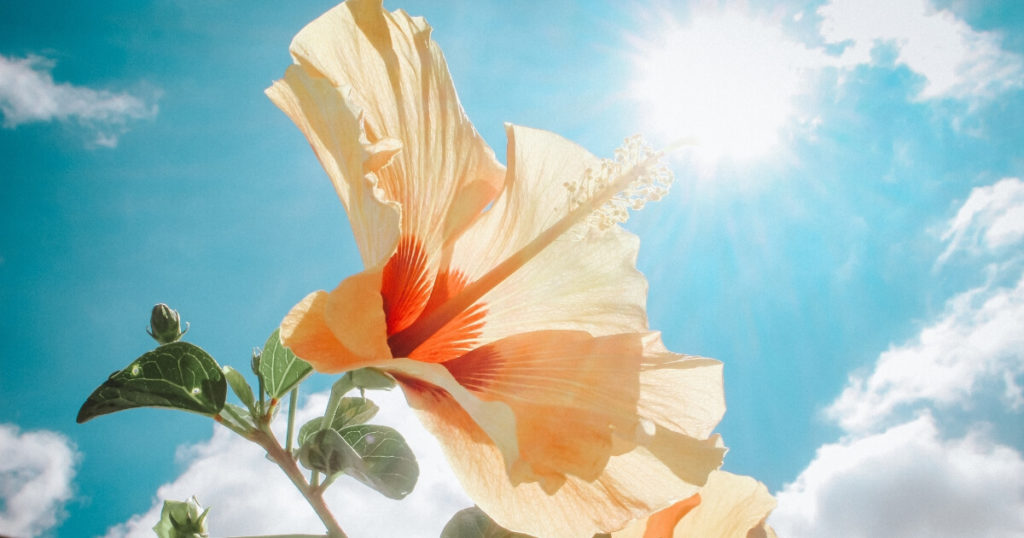 Quality HVAC System Maui